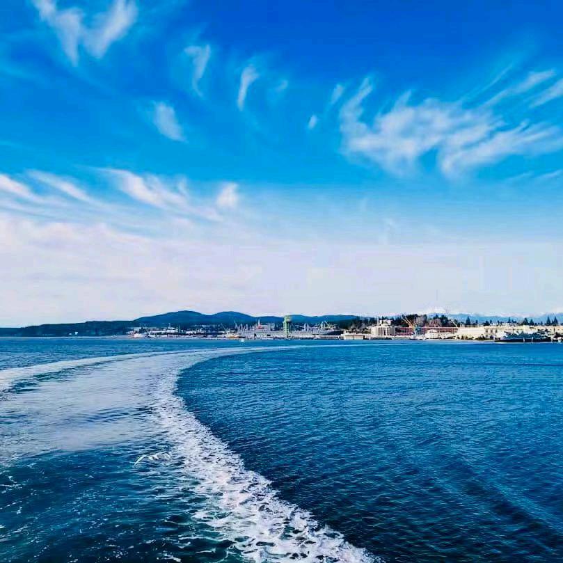 脑子里在想什么？