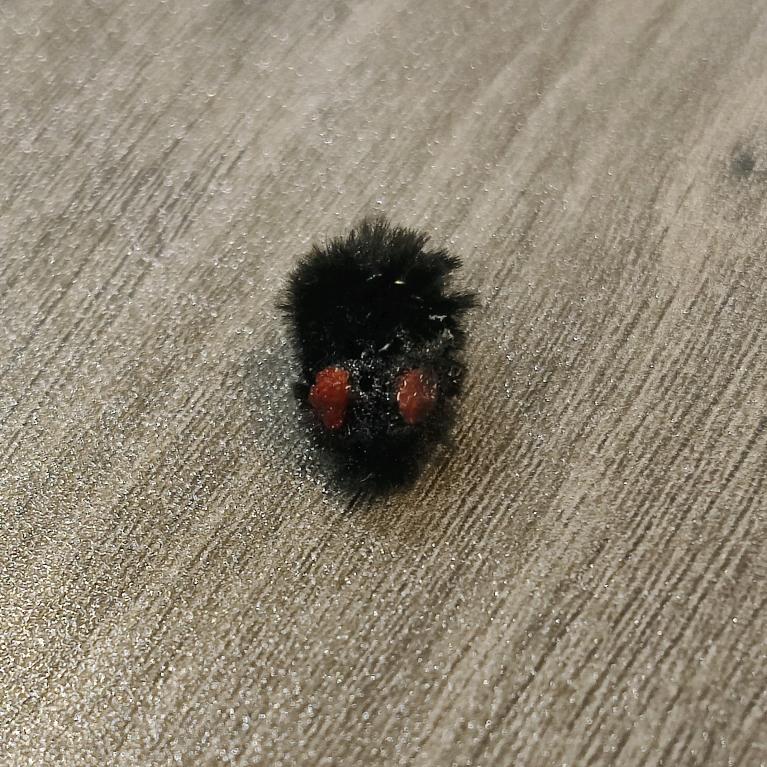 傻狗