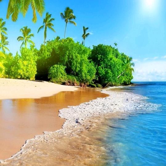 青梅染雪／竹马踏叶