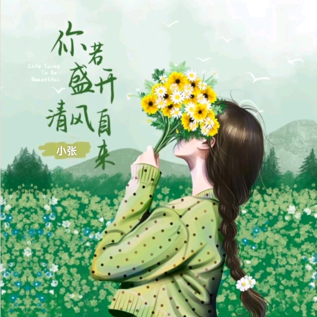 🍀小张☘️姐姐🍀
