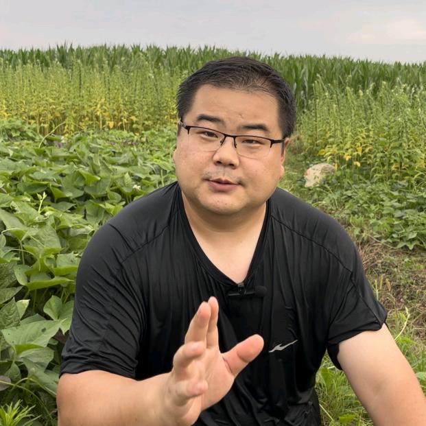 大白说种植