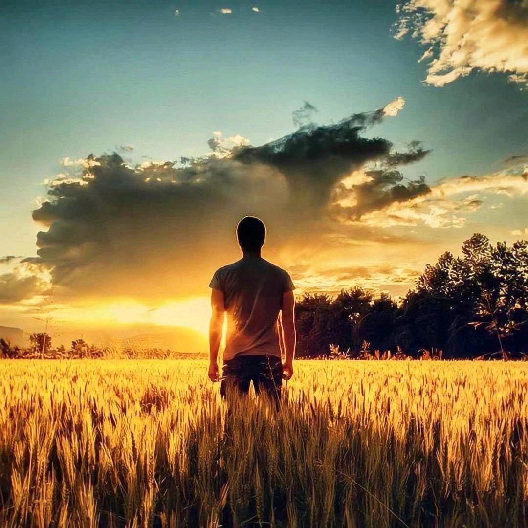 德孚尔（云南）远野