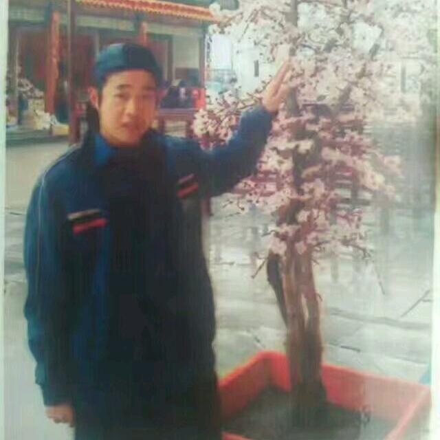 放手去爱就不说后悔