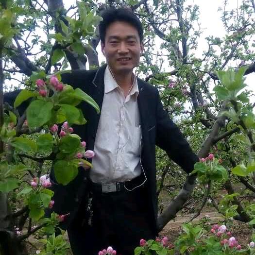 振兴胡哥