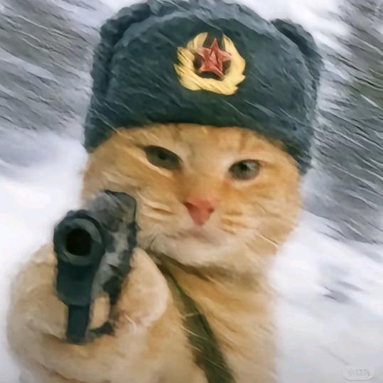 狂踹瘸子那条坏腿