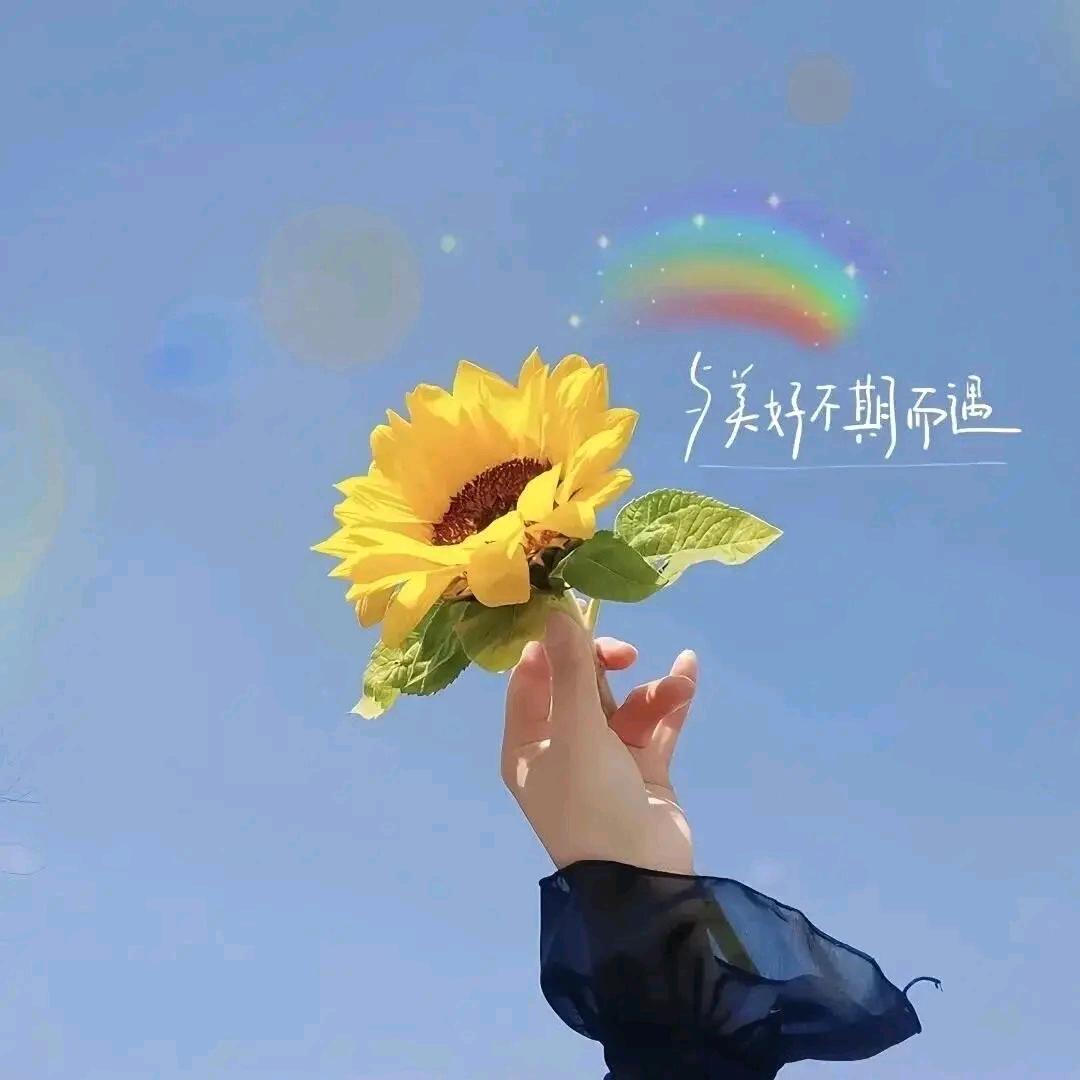 越来越好🌻