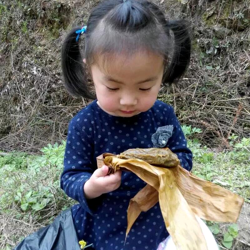 在黎平种田的超哥