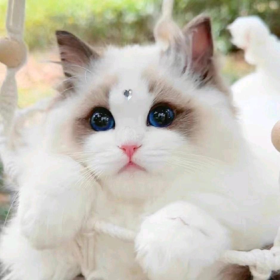 ღ归零ོ꧔