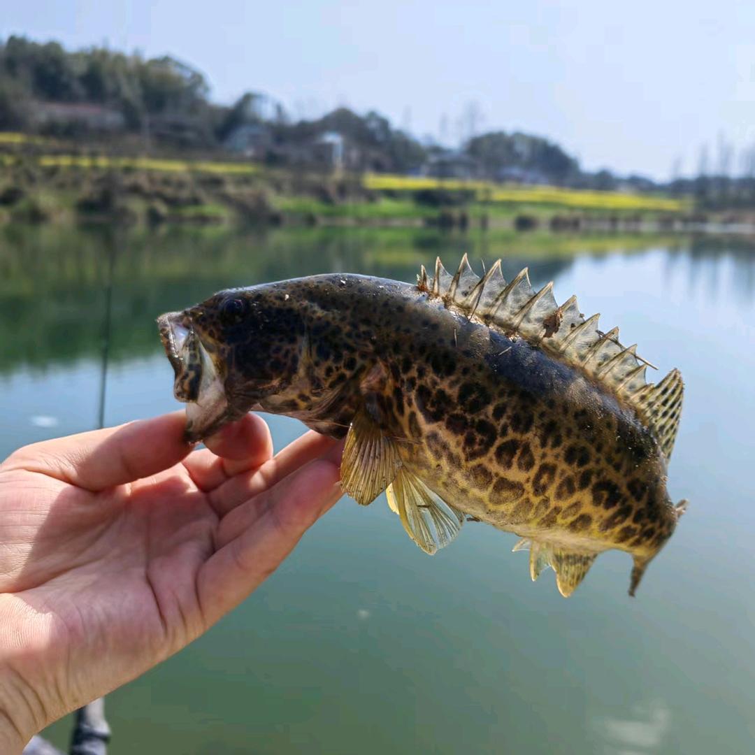 蜕变