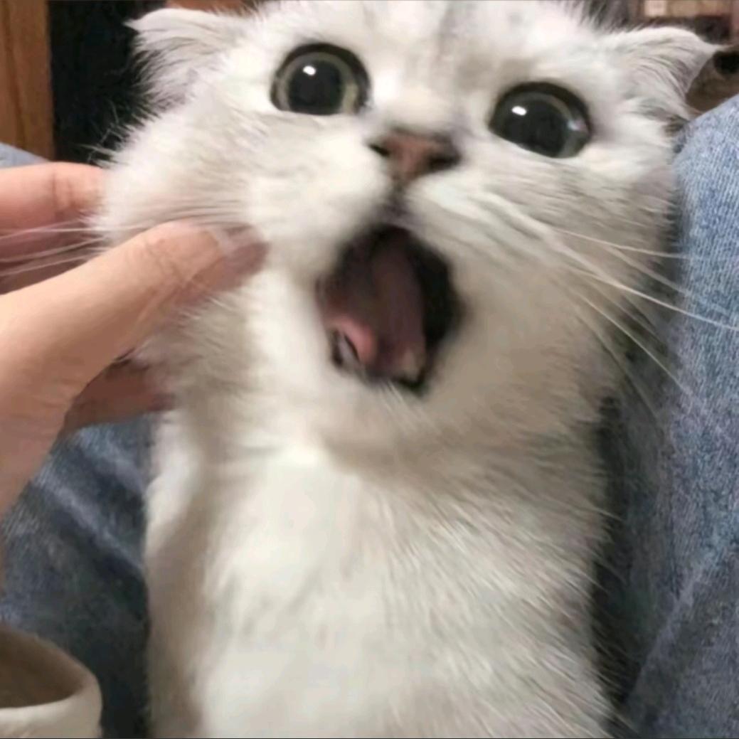 豆腐花卷