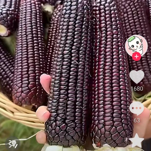 做各种环保设备