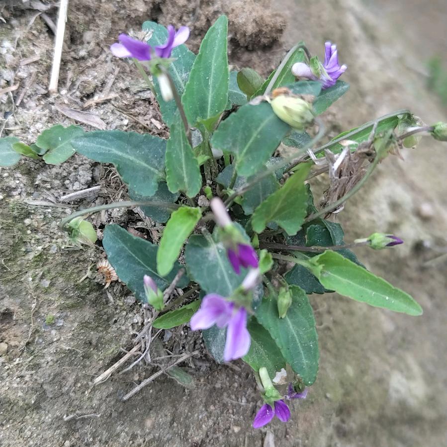 朝挺门窗工程部