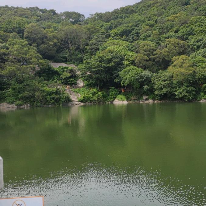 飞扬
