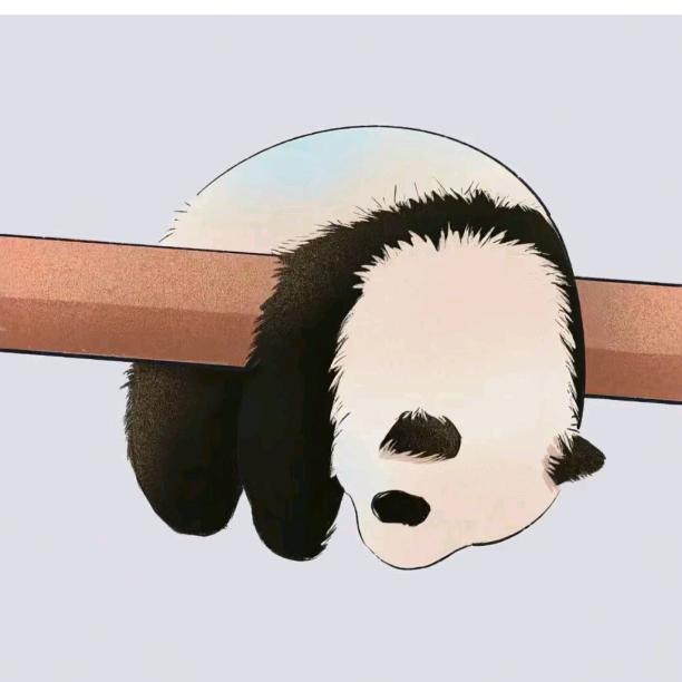 溜豆xu🙃（装修版）