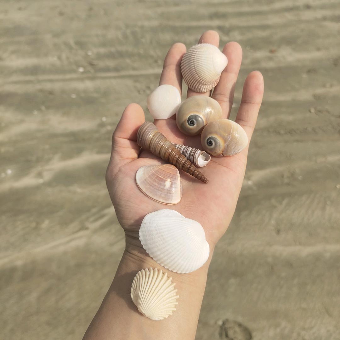 ˗ˋᥫᩣ‧  Ý ²     ♡ۣۖ