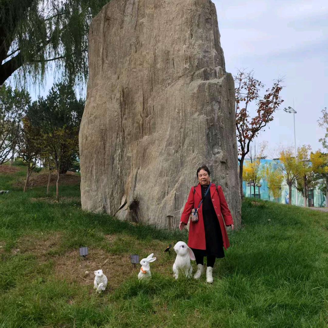 我们美好的回忆