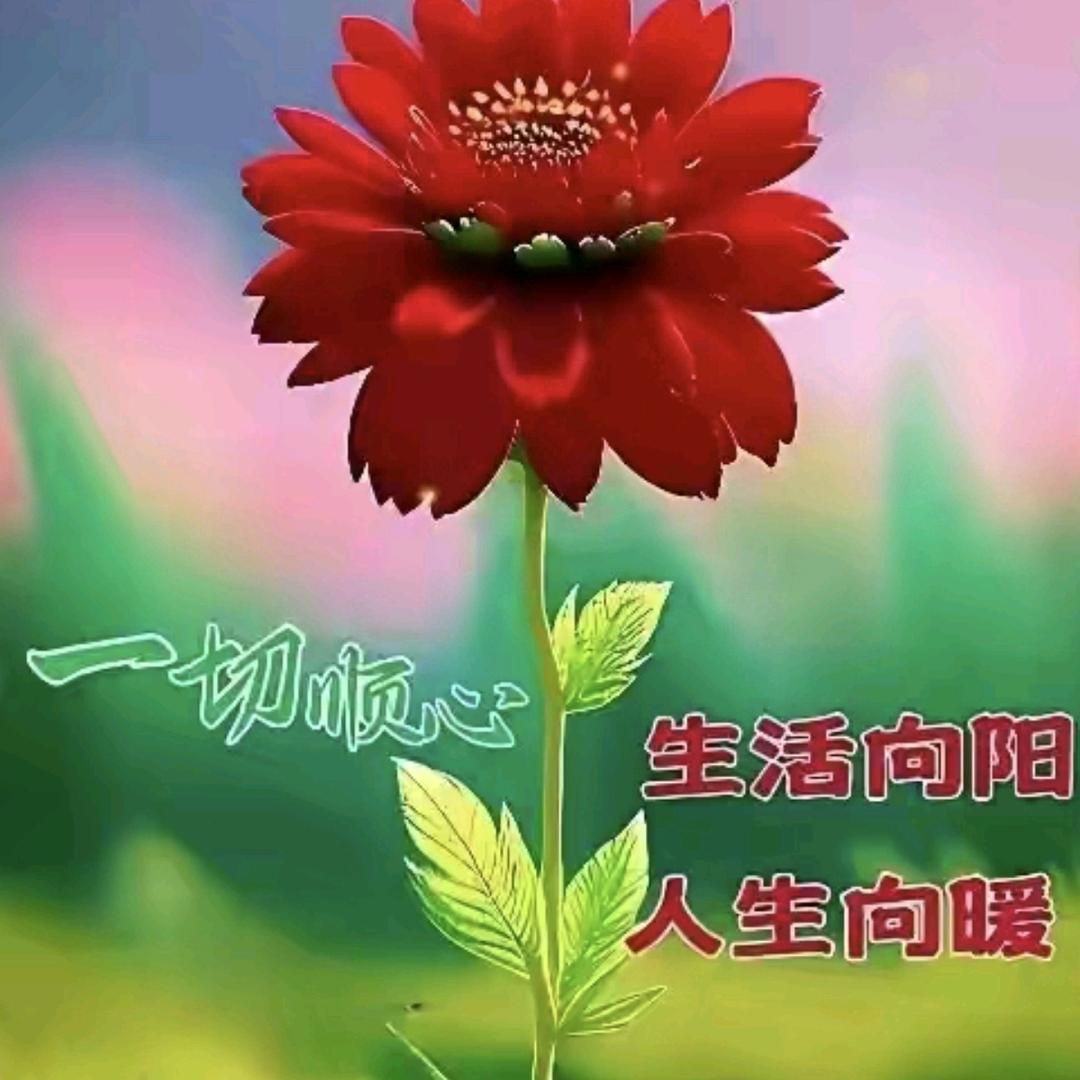 心想事成