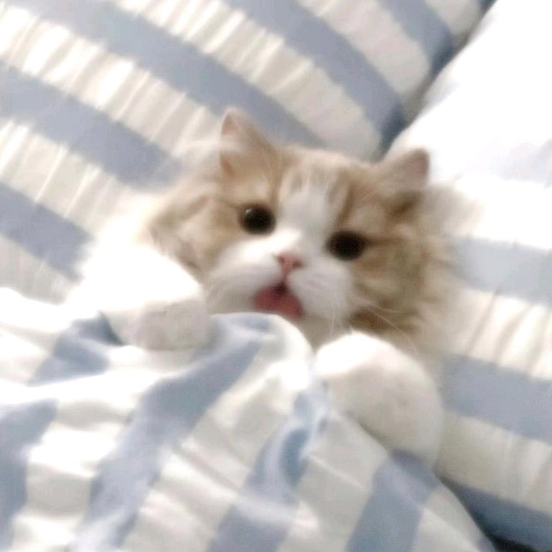 祈愿小茹