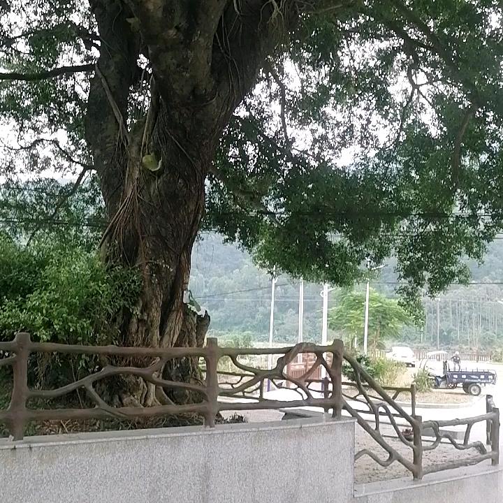 我等你🍁🍁🍁