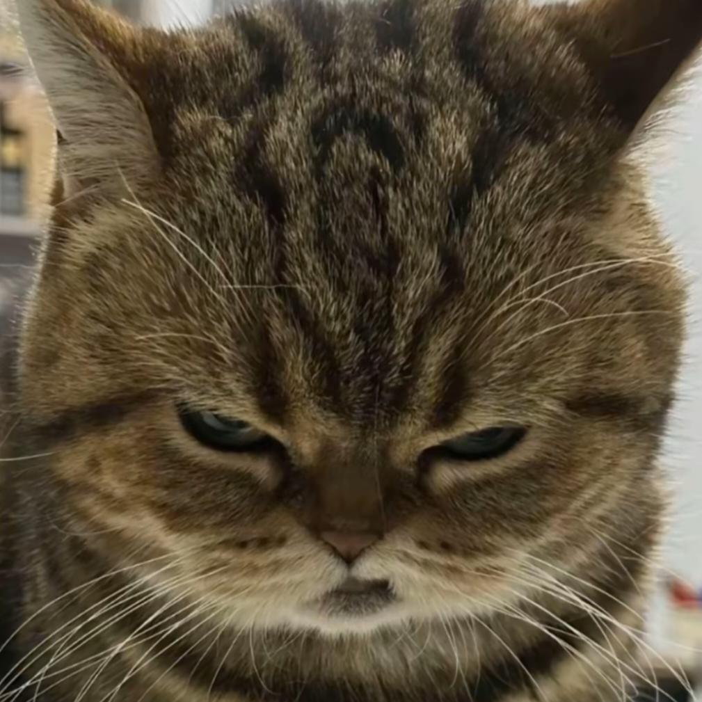 成果成果成狗