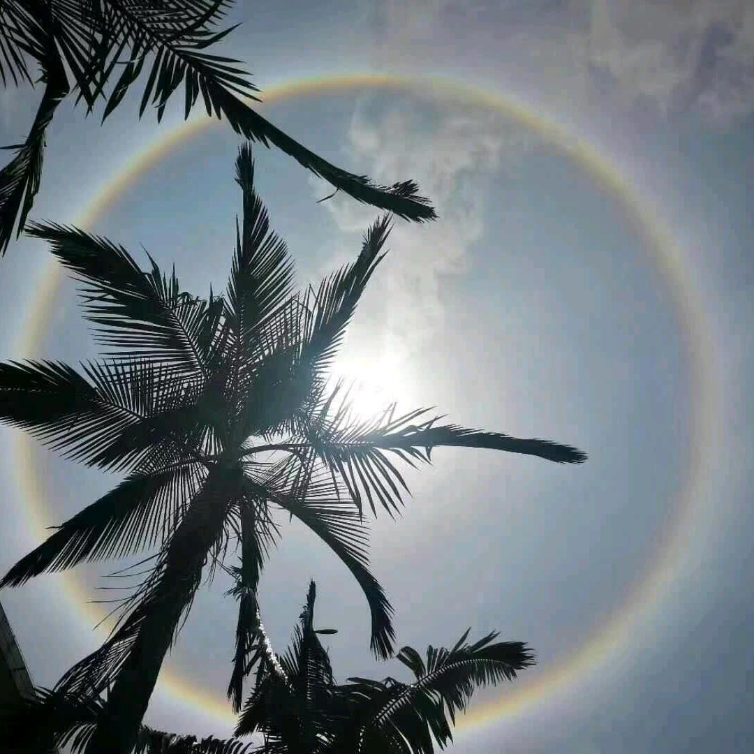 阿船欧