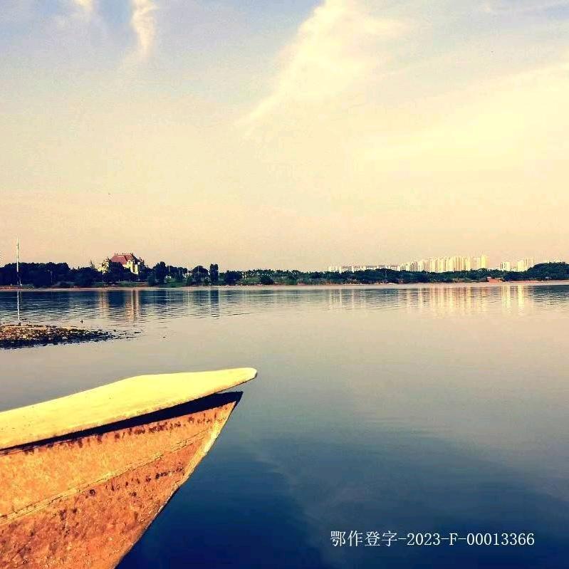 鱼在江湖