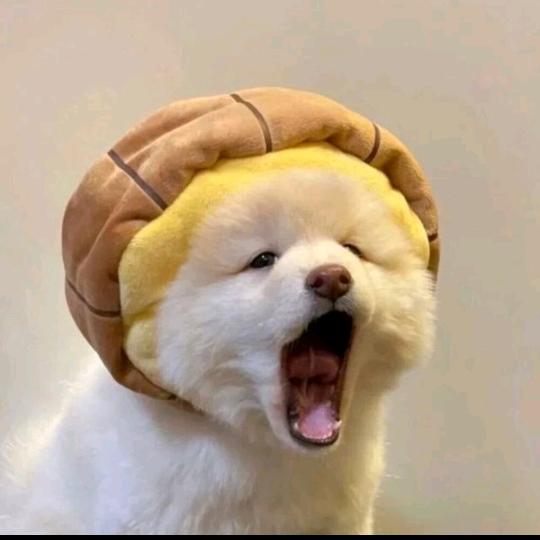 找寻幸福