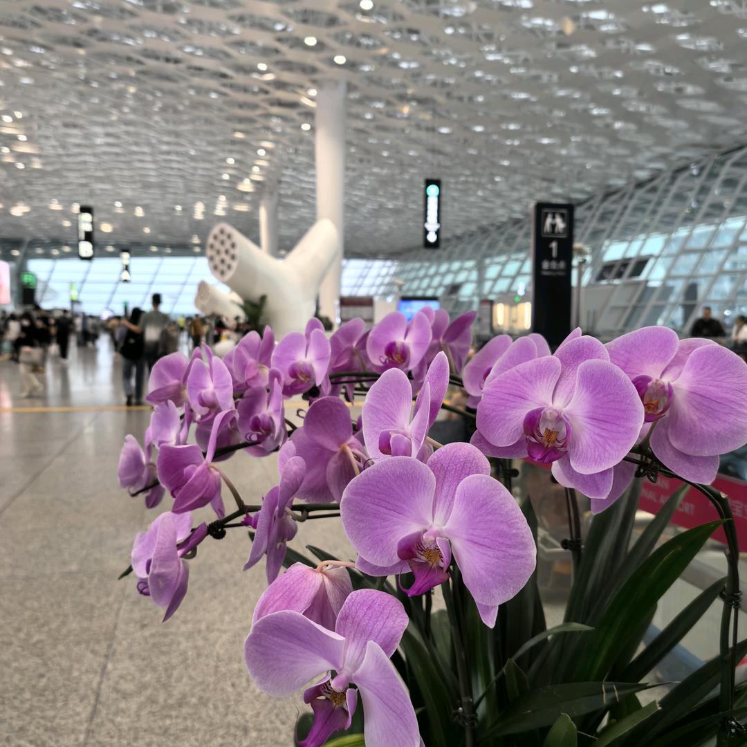 ༄༊࿆一生平ོྂཾ࿆࿐