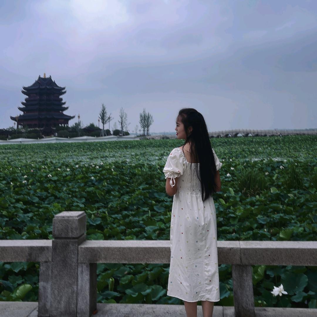 茜茜公主
