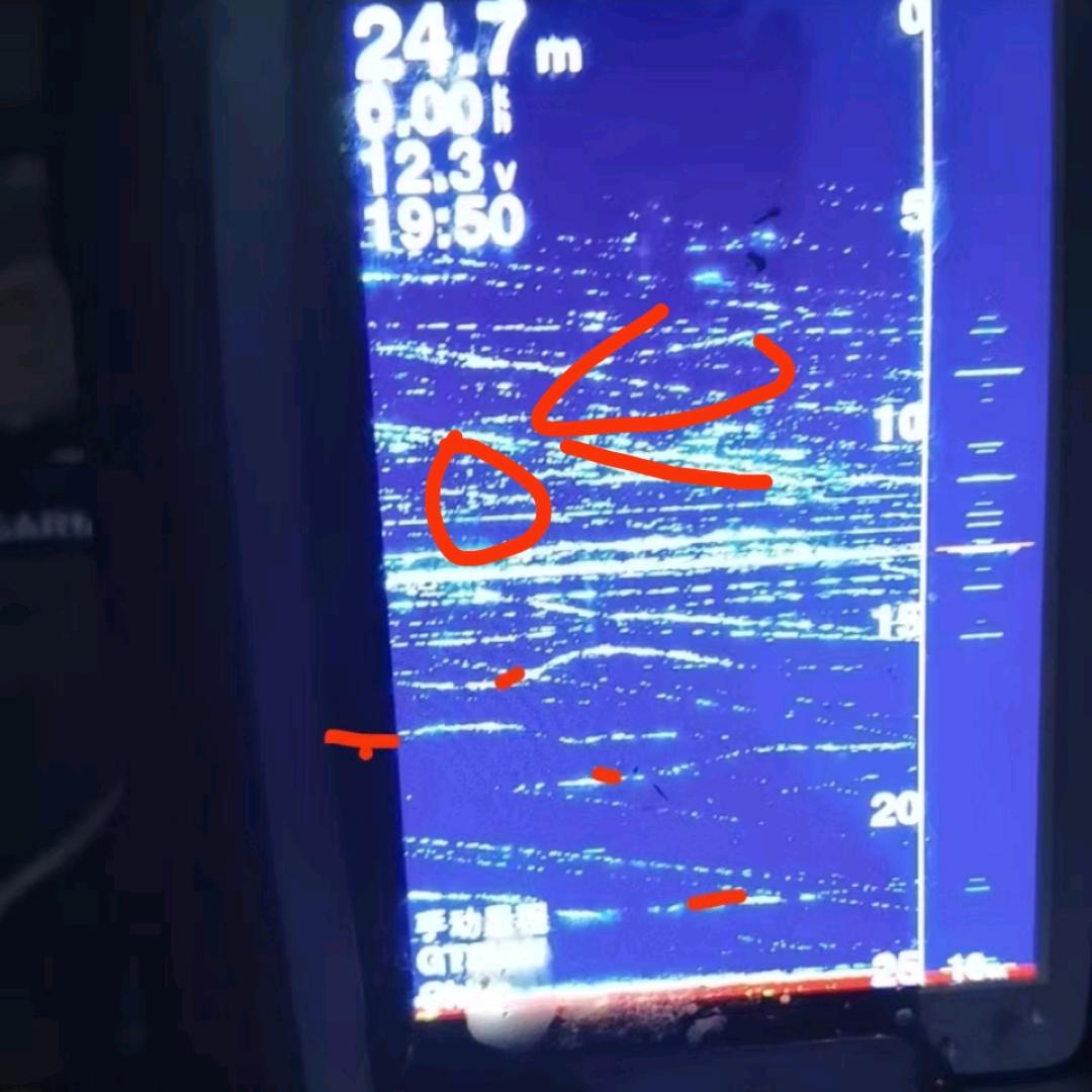 Placik888