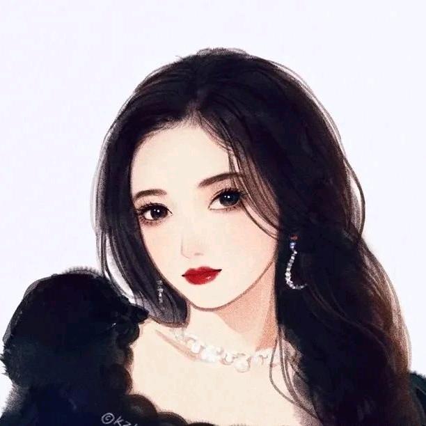 上海屋顶猫财税