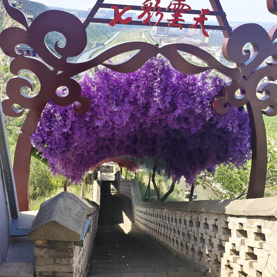 ღ᭄君🦋꧔ꦿ᭄🍎