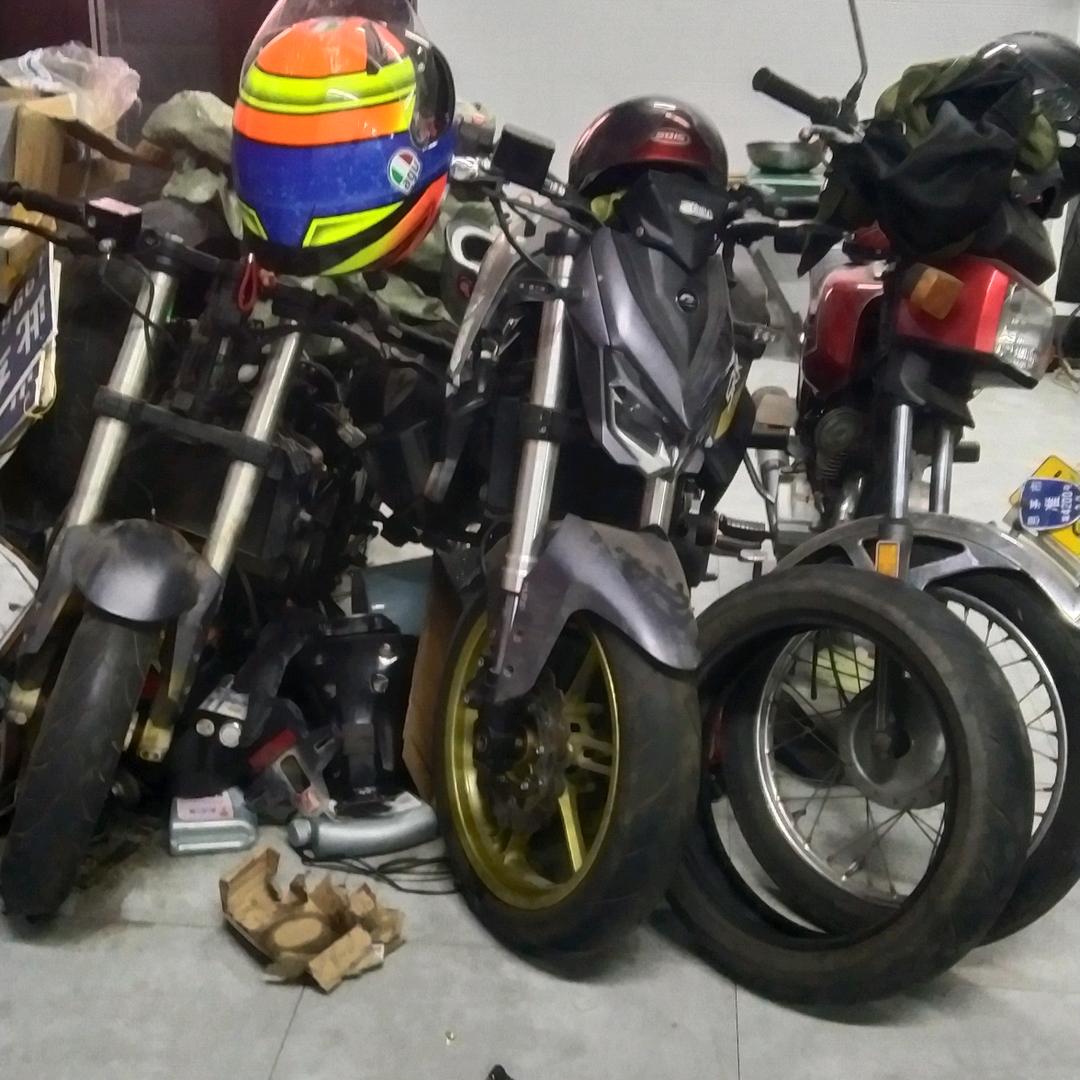 鸟爱青山鱼爱水