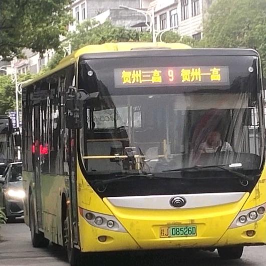 平桂仔(贺州公交迷)