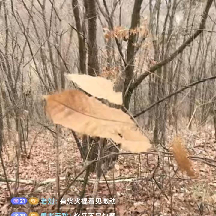 平凡人