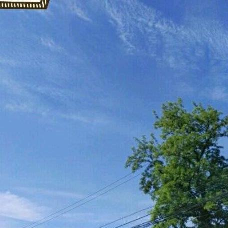 喜欢吃菜不吃肉