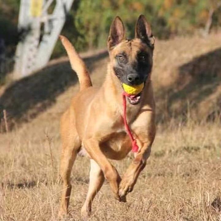 共赢明天(云南腾辉)