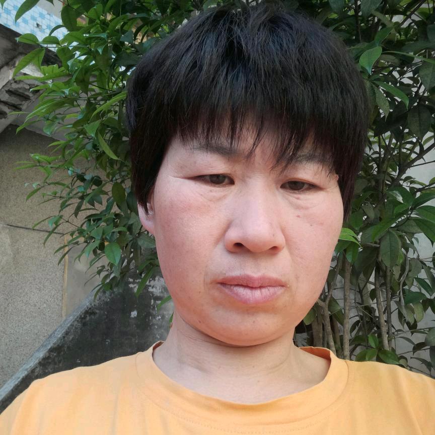 小芹菜早5，10开播