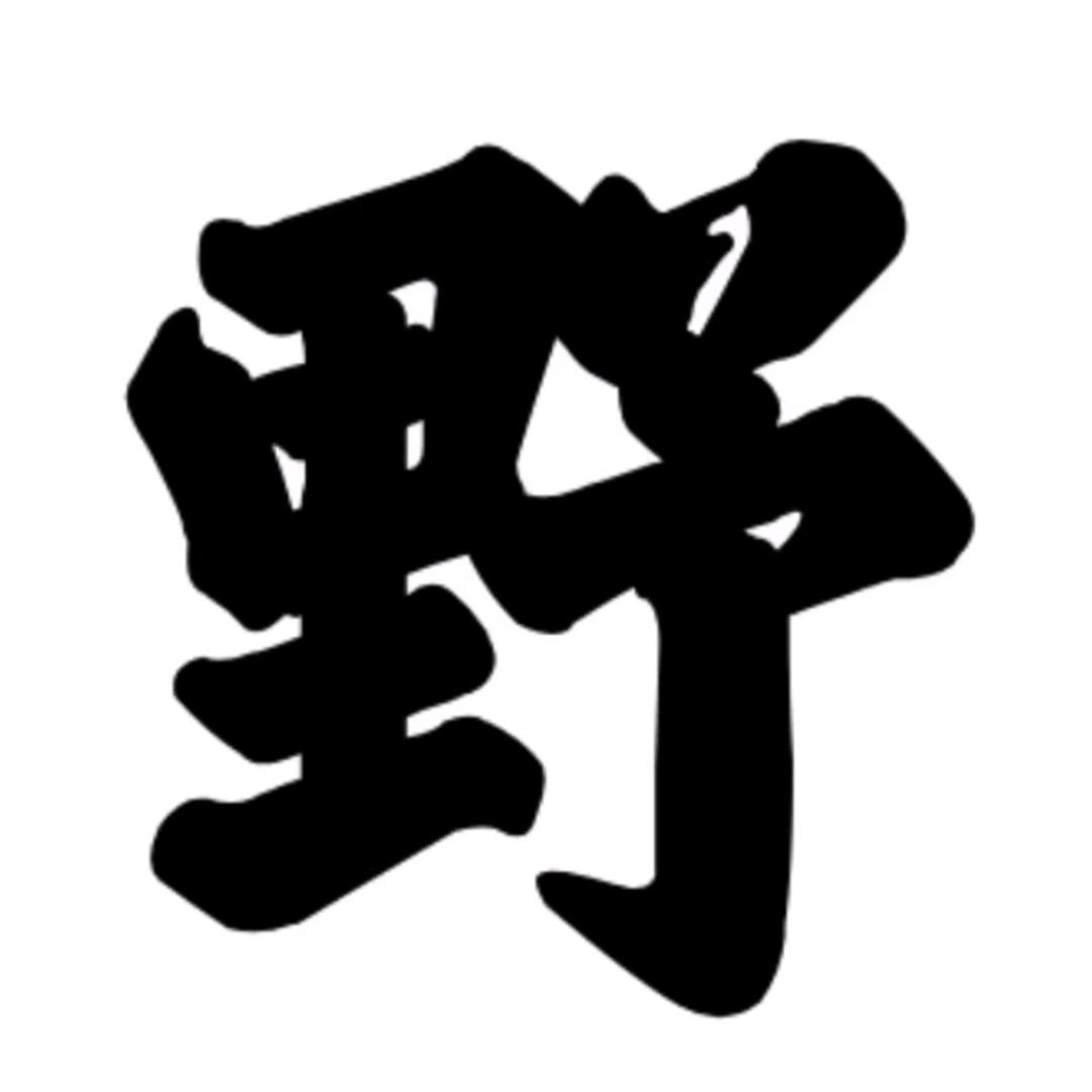 野人来啦