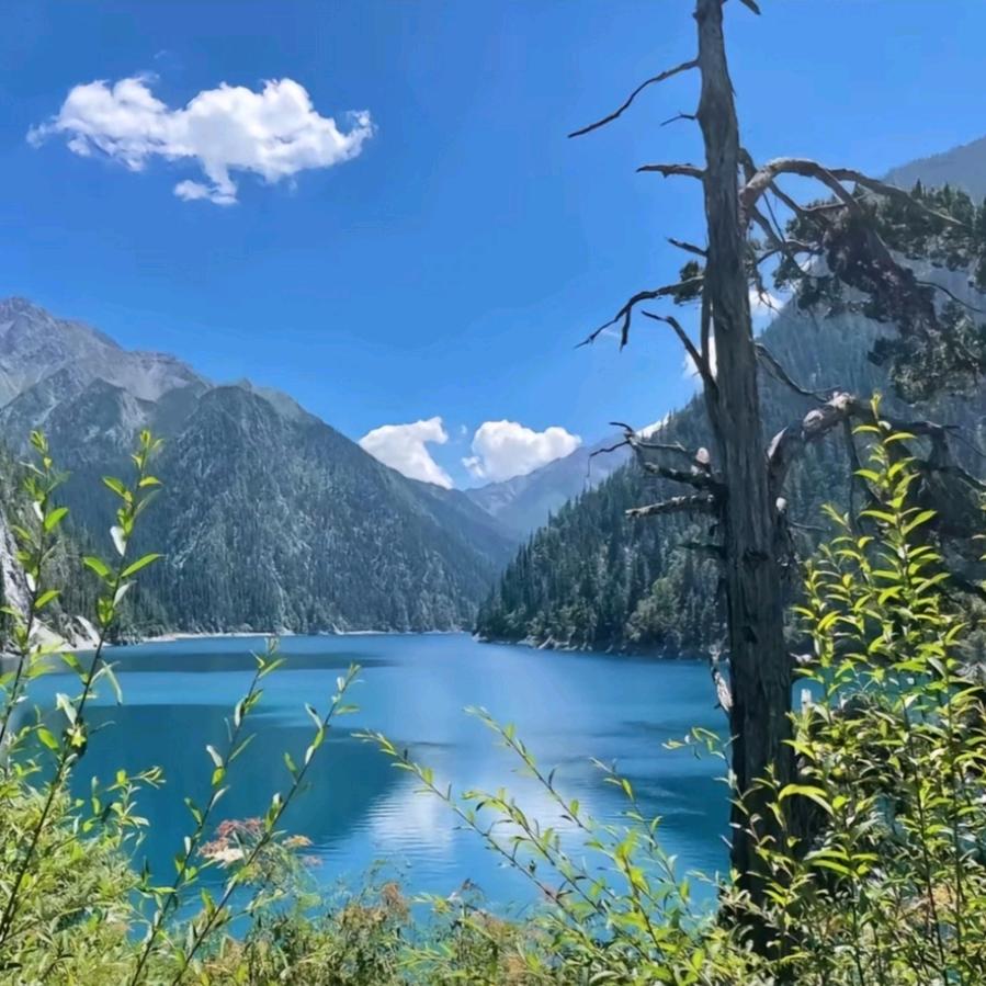 东方龙—凌峰