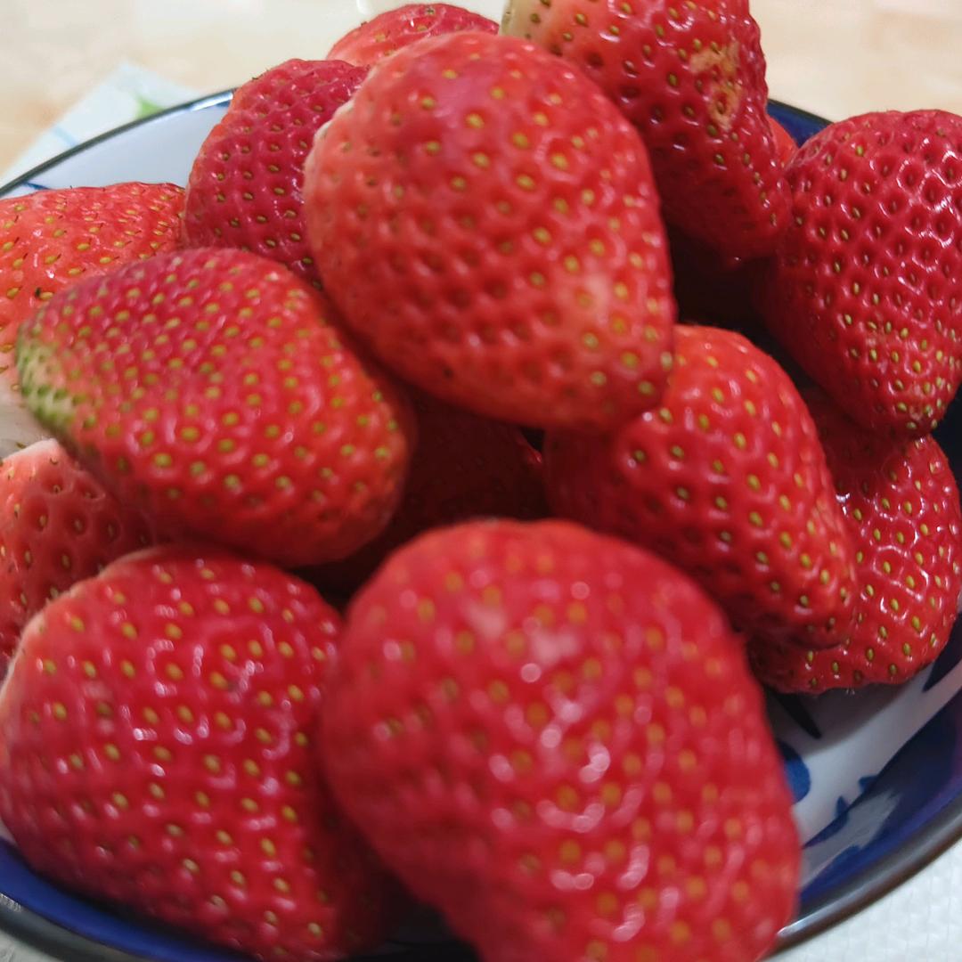 草莓多多🍓