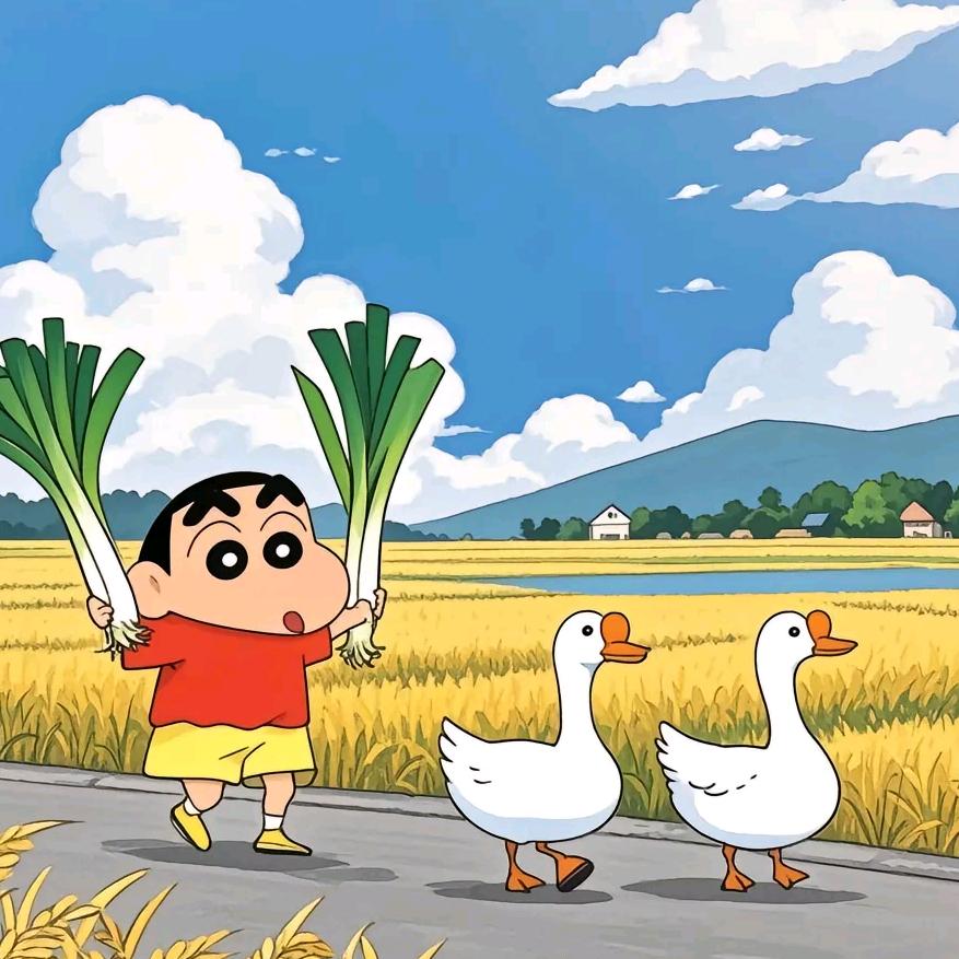 龙华俏丽