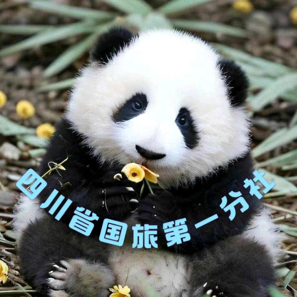 四川省国旅第一分社（四川专场）