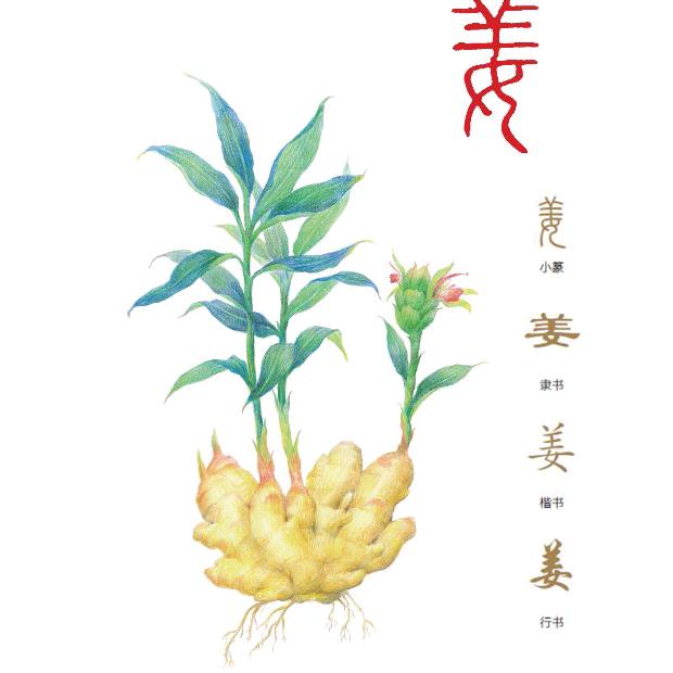 真情永在