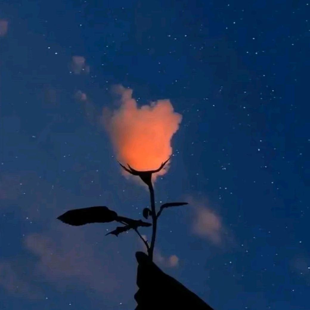🍓盈小盈