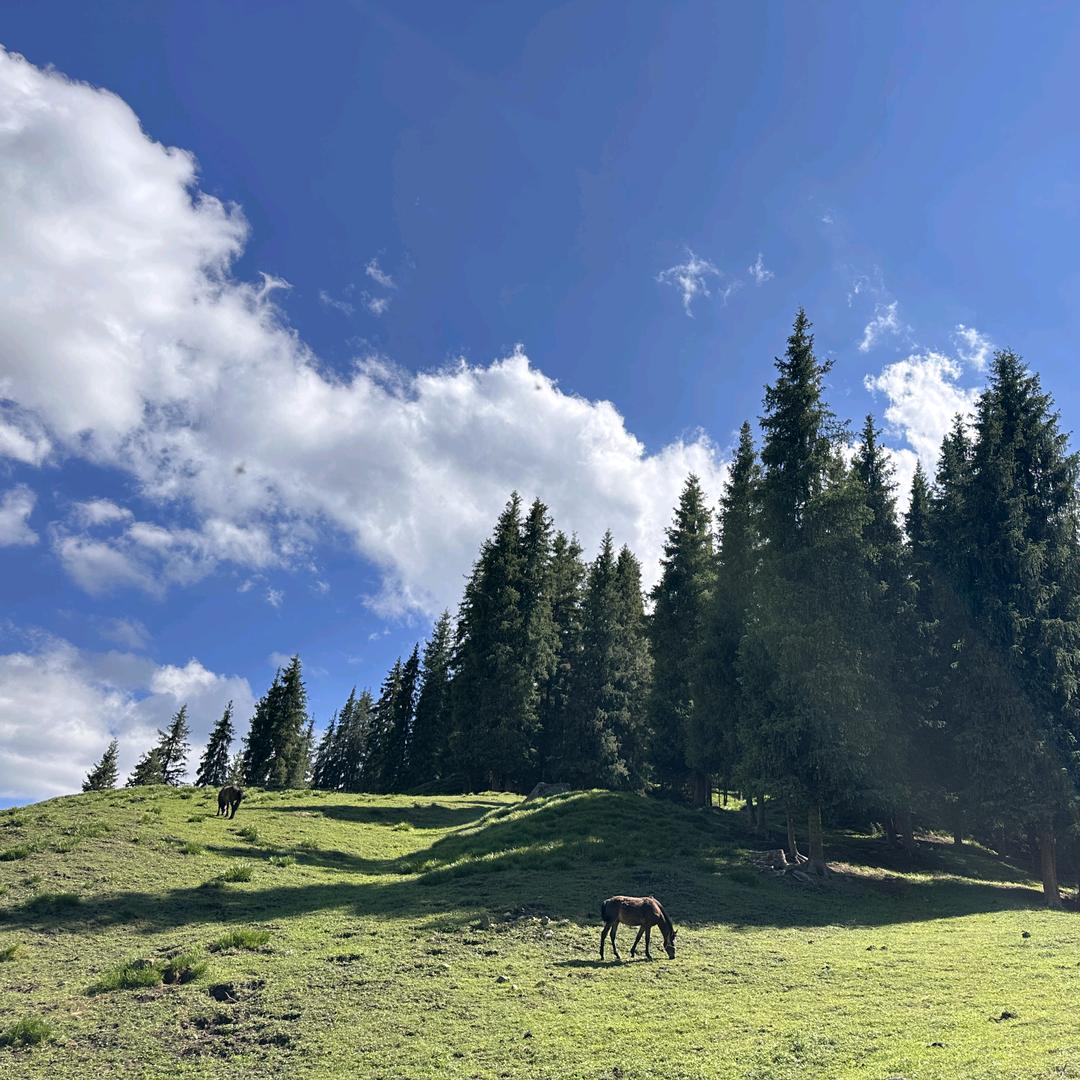 一〇四团牧二场