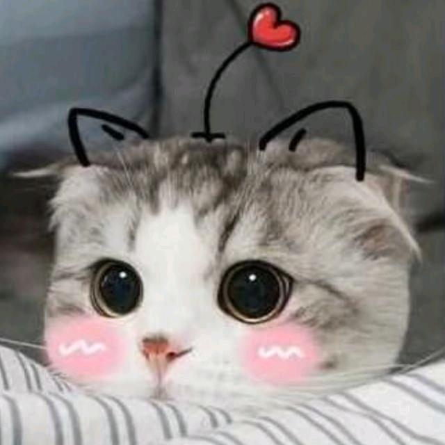 涛仔（个人修复版）