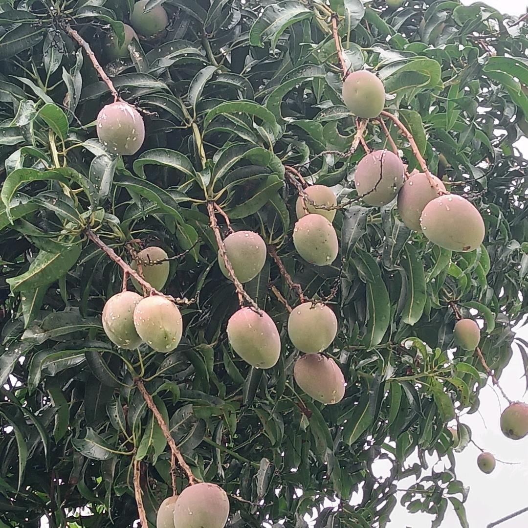 @阿飞
