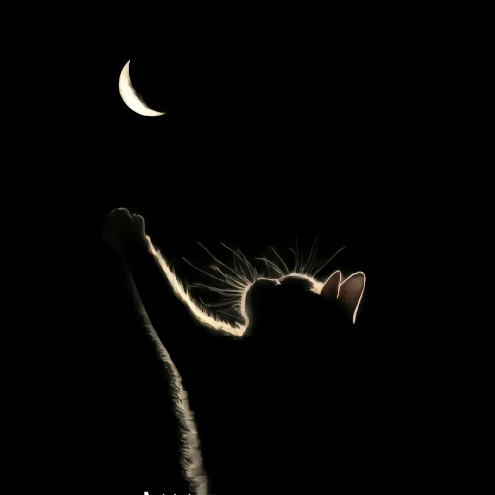 (*◑∇◑)☞乾杯 ☜