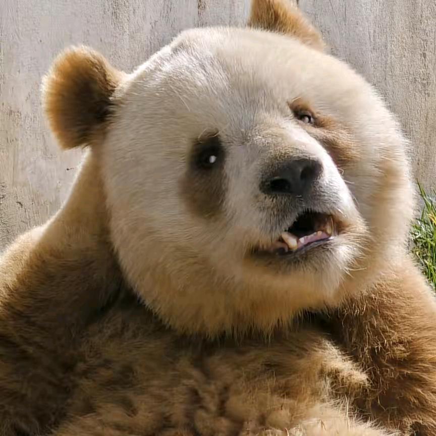 🌙神马都是浮云